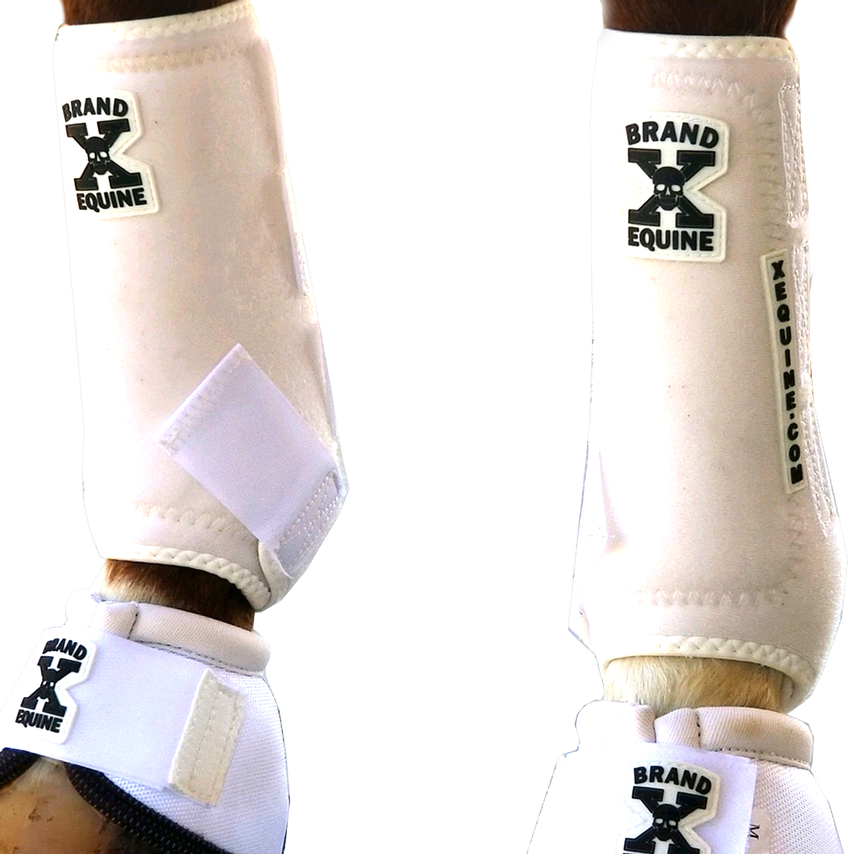 Premium Front Boots - White – Brand X Equine